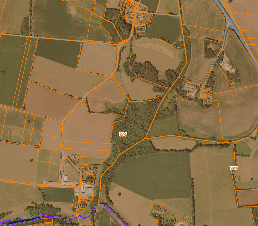 Des taillis communaux du côté de Tréfévan